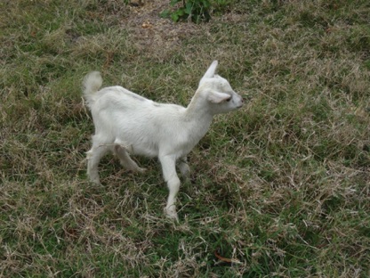 Cute little guy Cute little guy